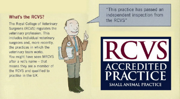 What is the RCVS?