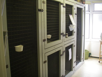 Air-conditioned kennel room